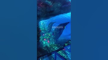 Curved LED display, a visual feast!!!!!