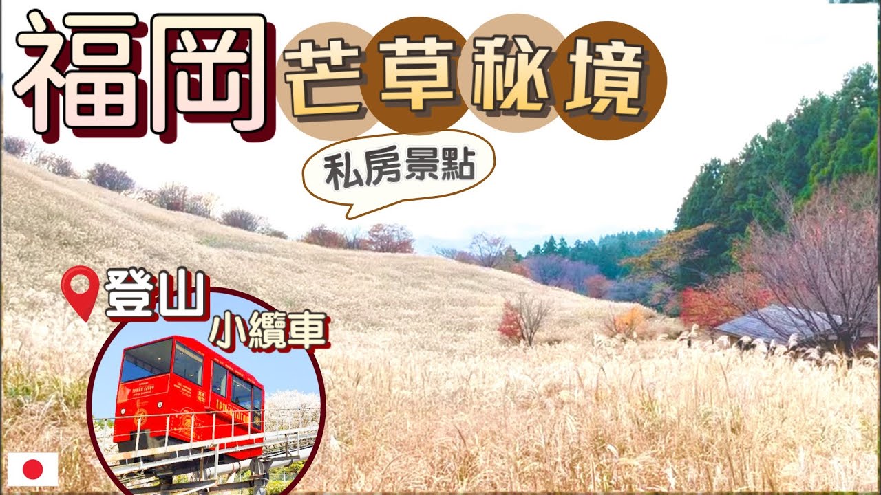 [福岡紅葉遊] 美到窒息的隱世芒草秘境 |秋季限定 | 登山小纜車賞紅葉🍁-拜訪福岡唯一の神宮
