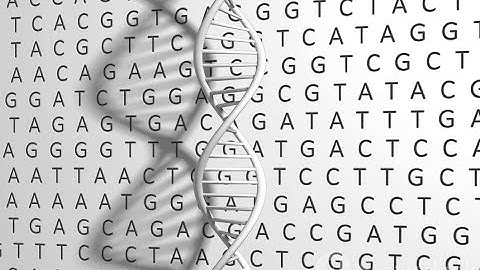 The DNA: molecular basis of inheritance | the search for genetic material |@NCERTWallahClass12PW