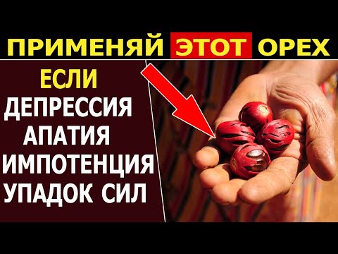 Удивительная польза Мускатного Ореха, чем полезен для организма мускатный орех.