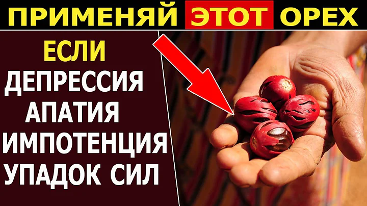 Чем полезен мускатный орех? Чем полезен мускатный орех?