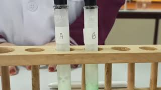ACTIVITY 9.3 : STUDYING THE DIGESTION OF LIPIDS IN A FOOD SAMPLE