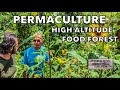 Sustainability & Farm to Table Show | #13 High Altitude Permaculture Food Forest