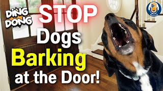 Stop Your Dog Barking At The Door And Turn Chaos To Calm: Remote Feeder Training Protocol by Dogs That 14,572 views 2 months ago 6 minutes, 23 seconds