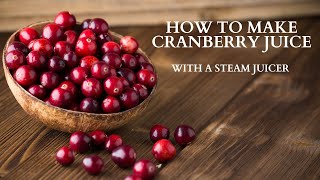 How to Make Cherry Juice in a Steam Juicer — Mossygoat Farm