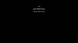 Download Lagu Ali' Imran 169-171 #quran #madina #mohamedayoub #ayyub #recitation #islamicvideo #islam #kuran #qari MP3 Download Lagu Ali' Imran 169-171 #quran #madina #mohamedayoub #ayyub #recitation #islamicvideo #islam #kuran #qari MP3