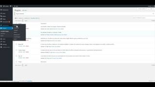 Activating Kirki - Quidus - Free WordPress Theme