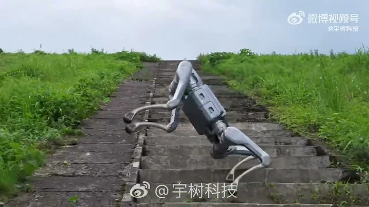China's Unitree Robotics unveils new quadrupedal robot dog, the Unitree A2 Stellar Hunter