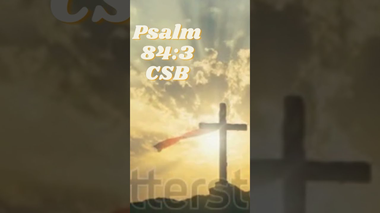 Psalm 84 3 CSB Bibleverse