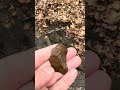 Native American flake #sassyupdates102 #nature #history #hiking