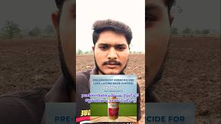 #వర్షం తర్వాత #Pendimethalin స్ప్రే చేయవచ్చా?#KalupuNiyantrana #FarmTips#rainupdate#bestchilliseeds