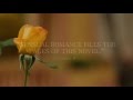 Trailer for YOU CAN'T ALWAYS GET THE MARQUESS YOU WANT