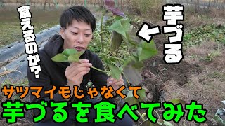 サツマイモのつる部分を食べてみた 簡単下処理方法 Youtube