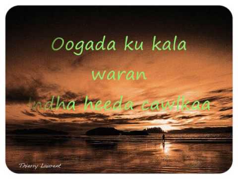 Somalilyiric Songs Ayaan - Abdi Diini