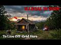 Why these 7 STATES are BANNING OFF GRID LIVING in 2026