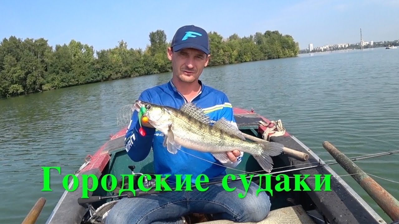 Доктор зай рыбалка воронеж