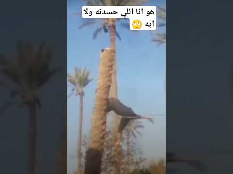 العين فلقت الحجر يا رب اكفينا شر الحسد