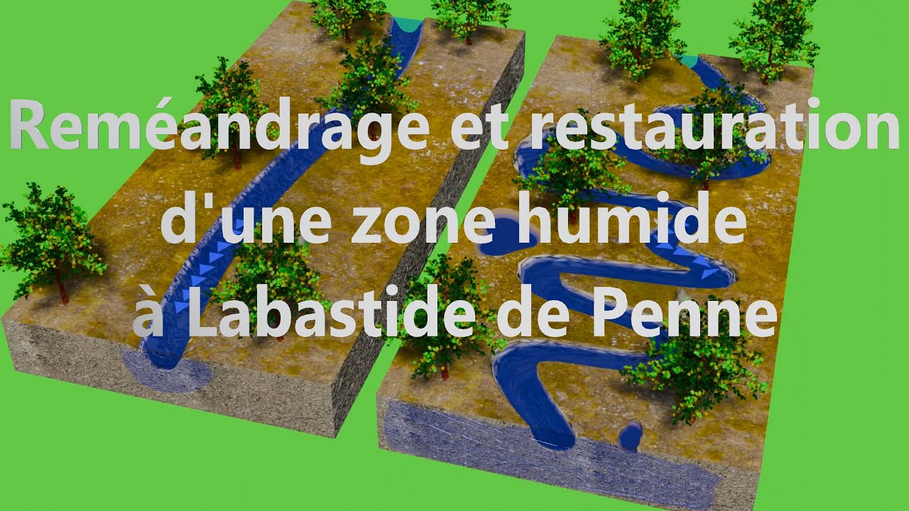 Reméandrage et restauration d'une zone humide à Labastide de Penne 82