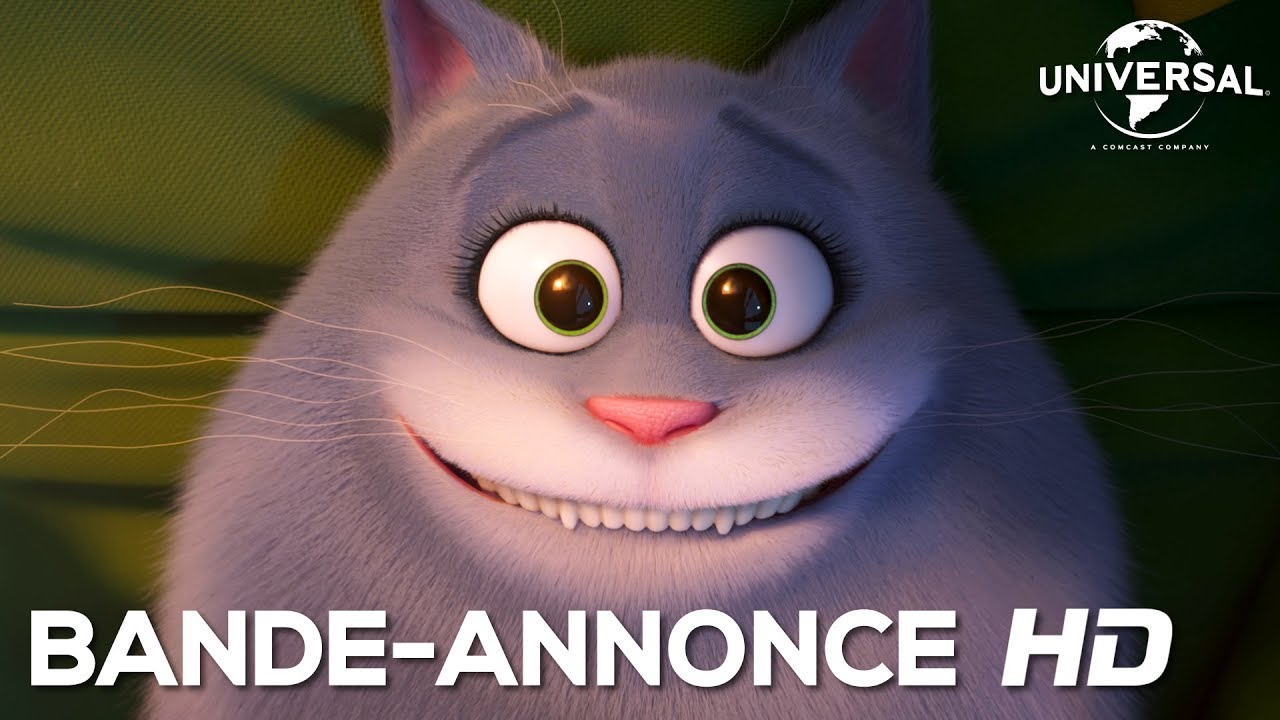 Comme Des Betes 2 Bande Annonce Boule De Poils Vf Au Cinema Le 31 Juillet 19 Youtube