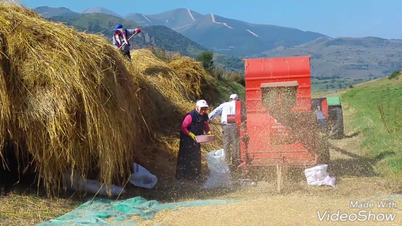 PATOS posof süngülü köyünde patos  vurma anı   balcıgiller