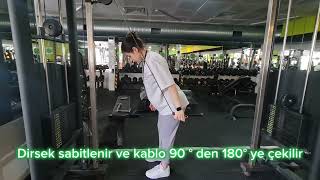 One Arm Cable Triceps Pushdown Hareketi̇ Nedi̇r Ve Nasil Yapilir?