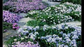 Video thumbnail of "Mendelssohn - Spring Song - Songs Without Words"