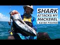 Shark Attacks My Spanish Mackerel - Hobie Kayak Fishing 2021