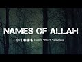  names of allah  ft hamza sheikh sabherwal 