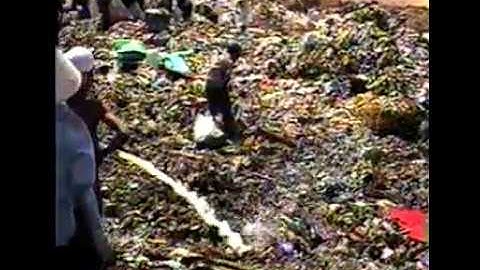 XỬ LÝ MÙI HÔI RÁC THẢI BẰNG CHẾ PHẨM VI SINH GEM-K TẠI BÃI RÁC ĐÔNG THẠNH NĂM 1999