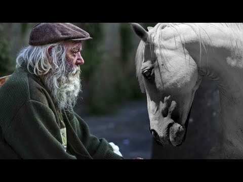Yaşlı Adam ve Beyaz Atının Hikayesi  - Lao Tzu