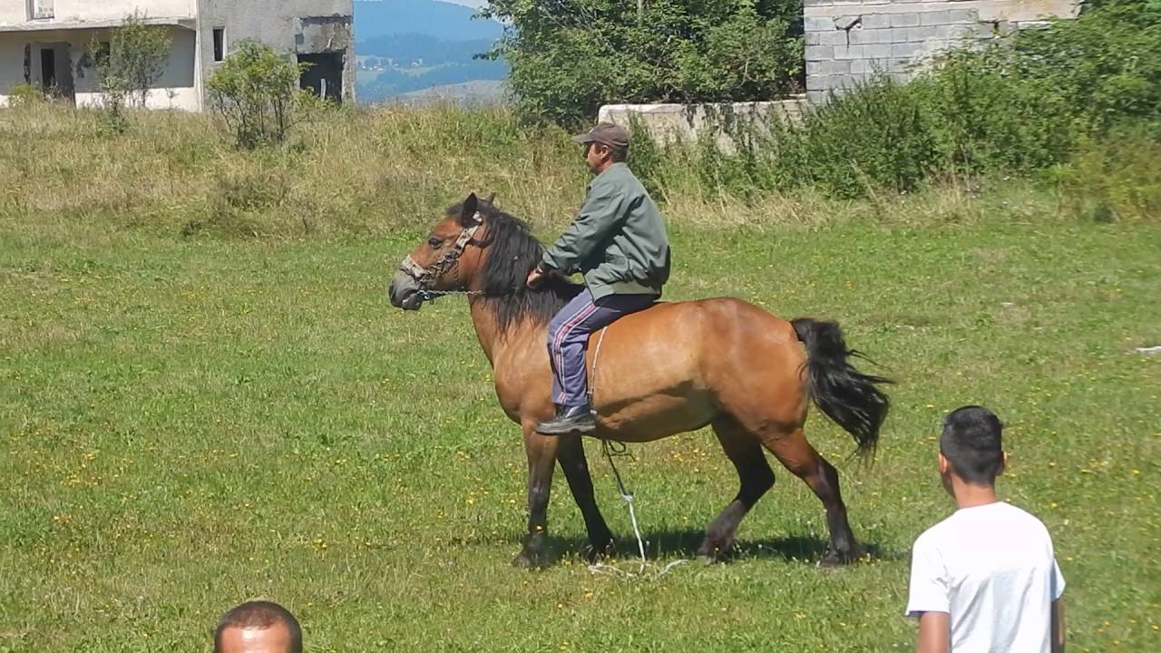 Stipo Žilić na konju  -  Dobretići