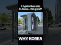 This Bus Stop is Better Than My House | Why Korea