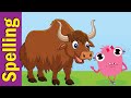 Spelling Quiz for Kids