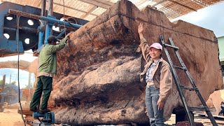 Wood Cutting Skills // Do You Think This Tree Is 5000 Years Old?