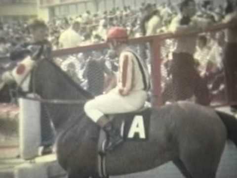 This is a 1965 horse race at Arlington Park Race Track in Arlington Heights, Illinois. My sister Georgia took this footage, one of her first 8 mm tries back in the day. There is no audio on this film.