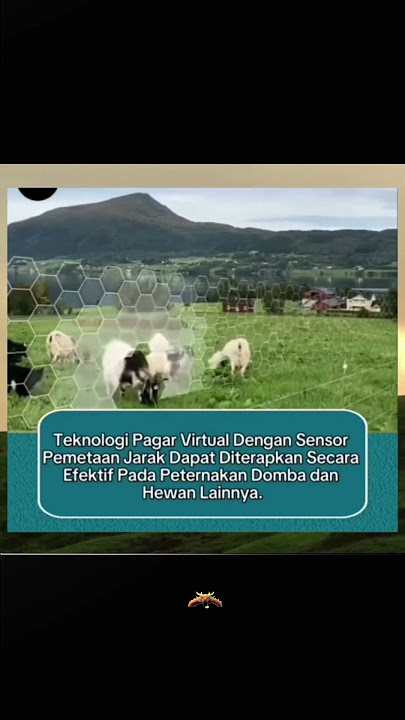 PERTERNAK DI INDONESIA HARUS PAKE INI SIH!!