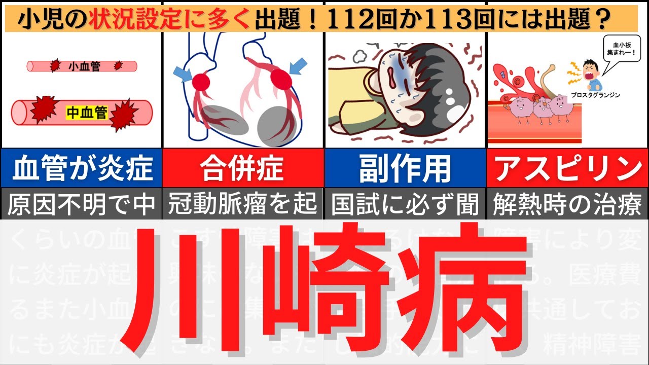 【7分で解説、17分で国試問題】川崎病について解説