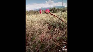 Download Lagu Унесённые ветрами MP3