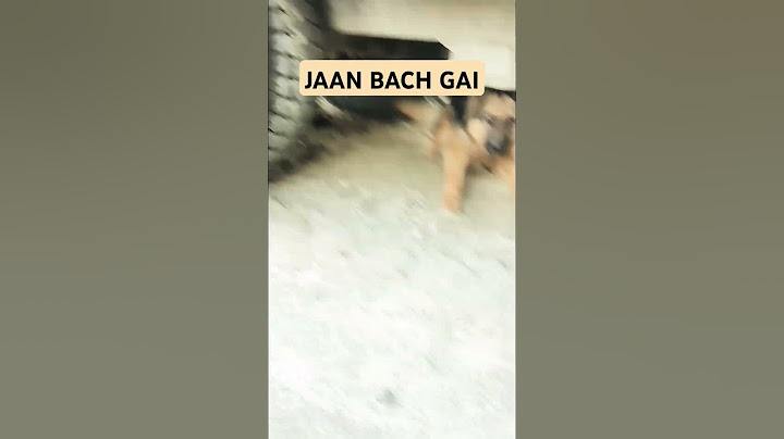 jaan bach gai dog #viralshorts #shorts #viralvideos #youtuber #shortsviral