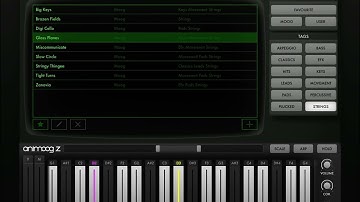 Animoog Z MPE in Audio Evolution Studio