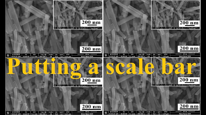 How to put a scale bar on SEM & TEM images (SEM/TEM data analysis) - 28