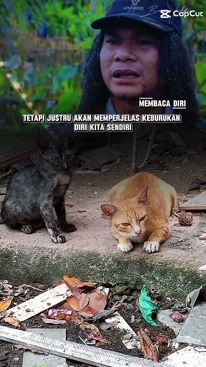 #katabijak #katamutiara motivasidiri selalulah bercermin
