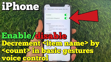 How to enable or disable decrement item name by count in basic gestures voice control on iPhone X