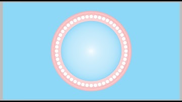 Corel Draw Para Personalizados Circulo com Bolinhas