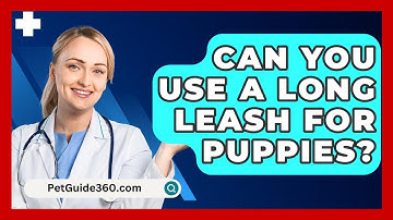 Can You Use A Long Leash For Puppies? - PetGuide360.com
