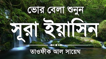 সুন্দর কুরআন তিলাওয়াত প্রতিদিন সকালে শুনুন সূরা ইয়াসিন ( سورة يس) By TOWFEEQ AL SAYEGH