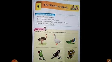 Class 3 rd subject - science chapter 5 part 1