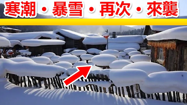 寒潮再次来袭🔴，寒风萧萧，飞雪飘零，北风呼啸，暴雪冰封，雪蘑菇，冬天的童话，🔴多地出现强寒潮和暴雪天气，营口的冰封大海奇观，东北冰雪奇观宛如童话世界！ - 天天要闻