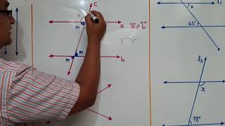 PARALLEL LINES AND SECANT LINES PART 1 - SUPPORT VIDEO