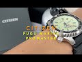 Citizen Fugu Full Lume Marine Promaster Limited Edition - NY0119 19X